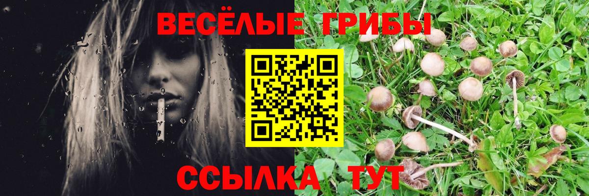 КОКАИН  Вход с VPN  ГАШИШ  Строитель  Где продают наркотики?  ГАШИШ  Мефедрон  Марихуана  Мефедрон   APVP СК кристаллы 