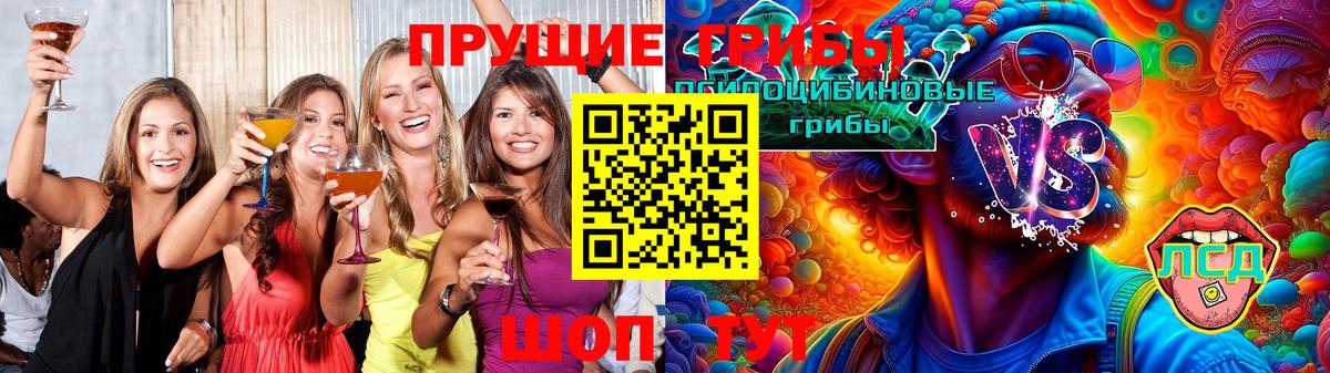 Галлюциногенные грибы Cubensis  Вход с VPN  Строитель  Псилоцибиновые грибы MAGIC MUSHROOMS 