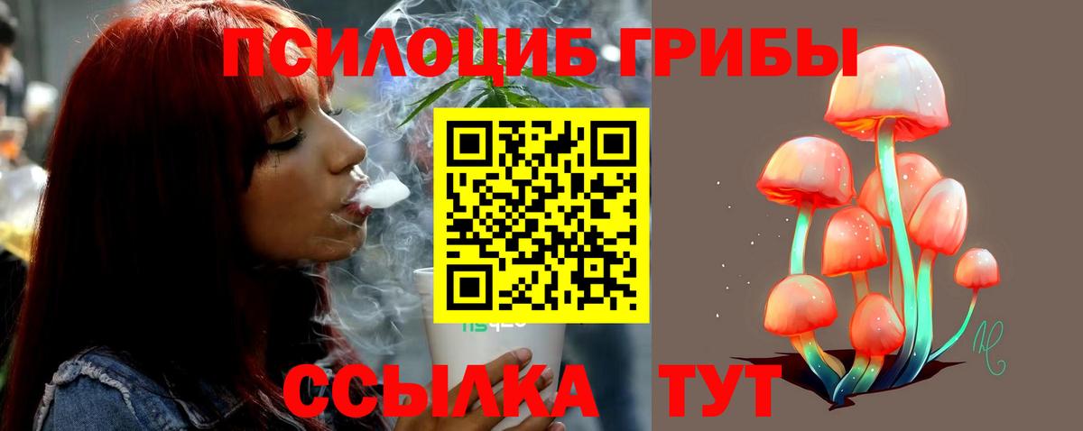 Галлюциногенные грибы мухоморы Строитель